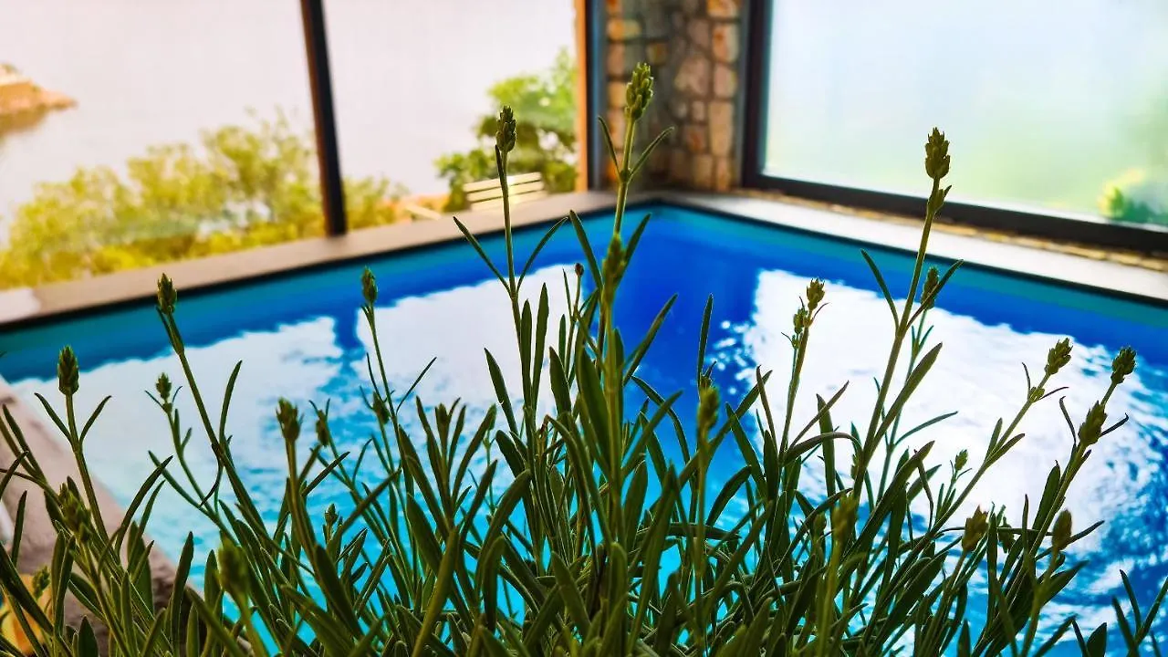 Villa Relax , With Seaview And Two Pools Near Beach Starigrad